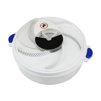 Baby Safe Electric Flycatcher