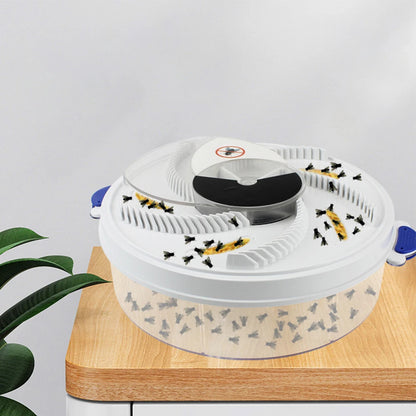 Baby Safe Electric Flycatcher